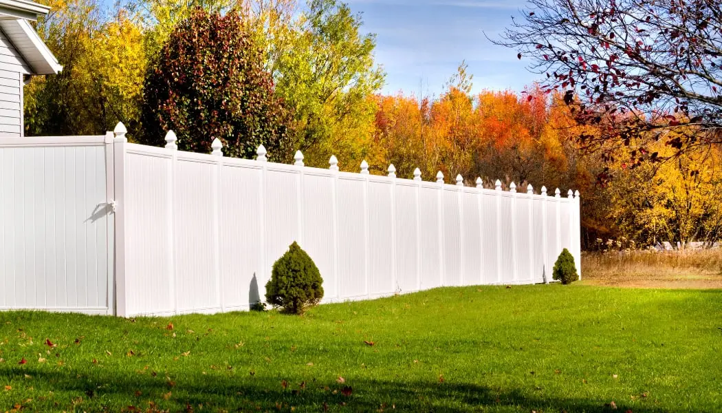 American Synthetic Grass